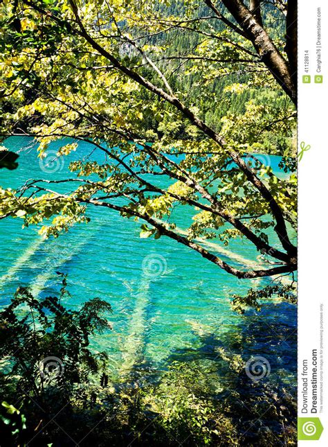 Colorful Lake In Jiuzhai Valley Stock Photo Image Of Rock Water