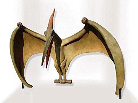 Maybe you would like to learn more about one of these? Pteranodon stehend lebensgroß 274cm für draußen aus ...