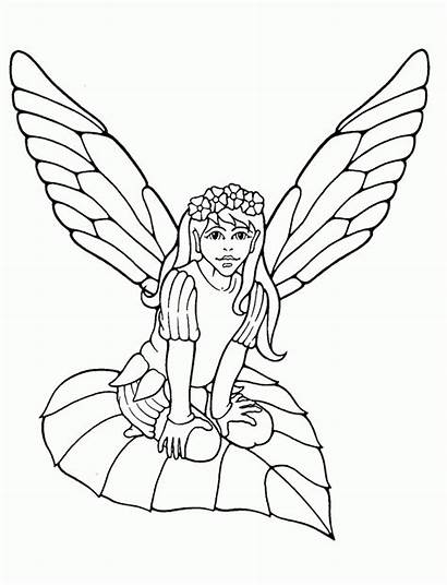 Fairy Coloring Pages Printable Fairies Adults Adult