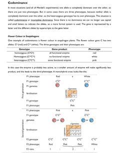 For each cross, give the genotypes and phenotypes of the offspring and the probability of getting each. Heredity/Genetics on Pinterest | Genetics, Dna and ...