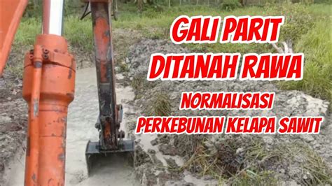 Gali Parit Ditanah Rawa Normalisasi Perkebunan Kelapa Sawit Enamsdr