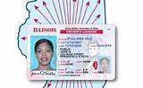 Images of Illinois Secretary Of State License Renewal