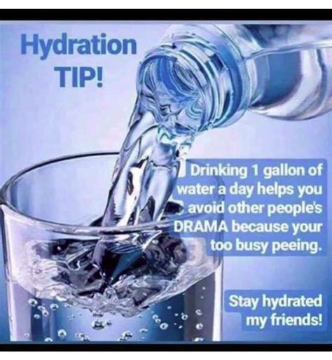 Pin By Jo Hurd On Funny 1 Gallon Of Water A Day Stay Hydrated