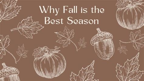 Top Five Reason Why Fall Is The Best Season The Hawk