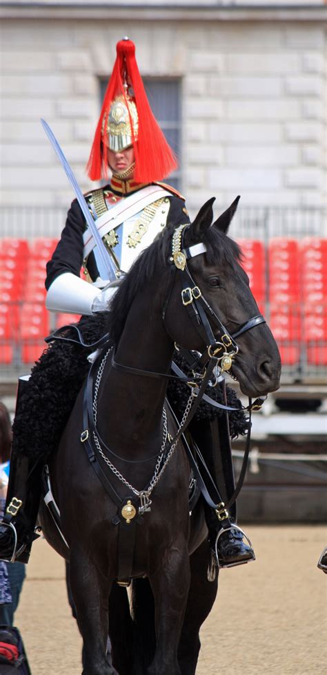 Mounted Household Cavalry Soldier Free Stock Photo Public Domain Pictures