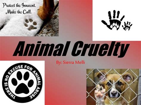 Animal Cruelty Powerpoint Same Background