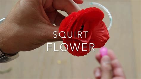 squirt flower youtube