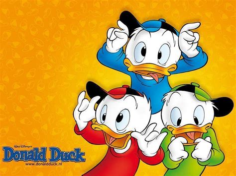 Donald duck rose to fame with his comedic roles in animated cartoons. Donald Duck Wallpapers - Wallpaper Cave