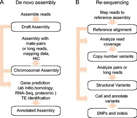 Overview Of Whole Genome Sequencing Approaches A De Novo Assembly