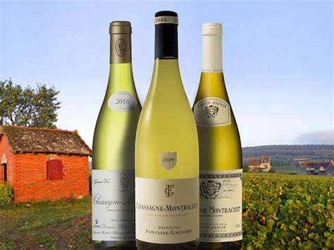 10 Most Popular French White Wines Tasteatlas
