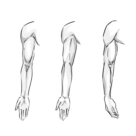 Arms Sketch