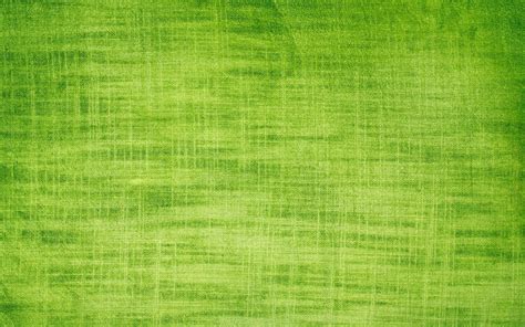 3888x2592px Light Green Texture Wall 420119 Plain Wallpaper Hd