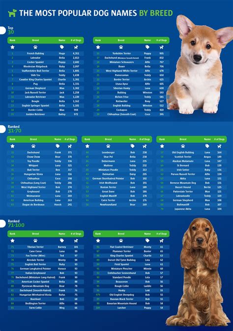 What Are The Most Popular Puppy Names