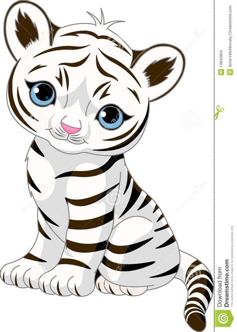 Cute White Tiger Cub Stock Vector Illustration Of