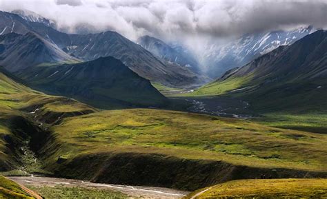 Alpine Tundra Species Richness Us National Park Service