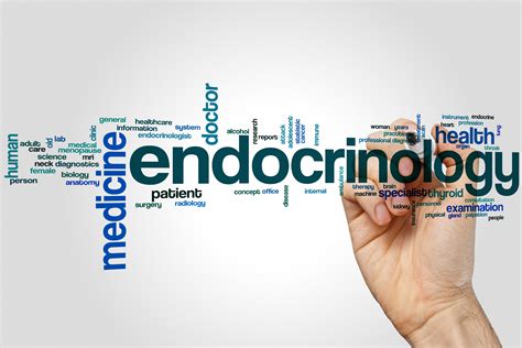 What Is Endocrinology American Association Of Clinical Endocrinology