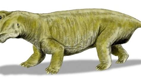 Extinction 250 Million Years Ago