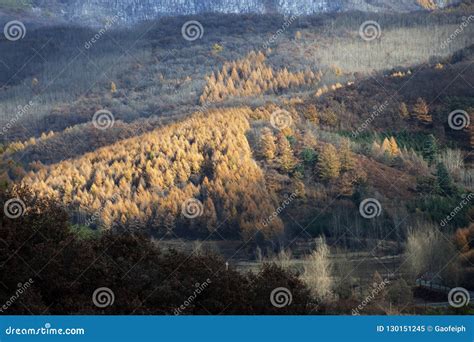 All The Mountains Are Red Stock Image Image Of Autumn 130151245