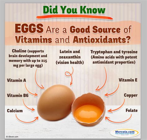 Should You Eat Organic Eggs Organic Food Ab