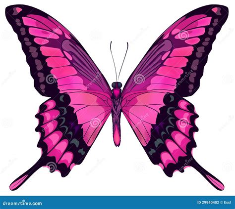 Pink Cartoon Butterfly