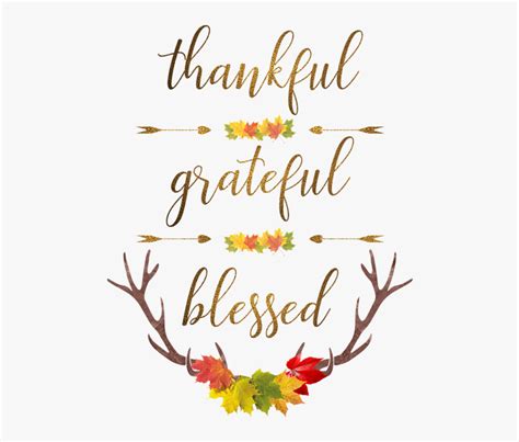 Thankful Grateful Blessed Happy Thanksgiving Hd Png Download Kindpng