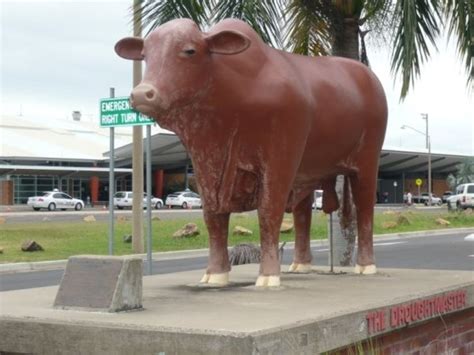 The World Today No Bull Rockhampton Resolves To Save Statues 22042010