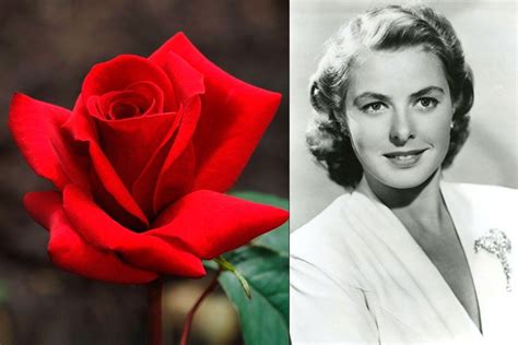 16 Flowers Named For Celebrities Hybrid Tea Roses Flowers Flower Beauty