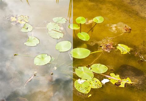 Nd Filter Vs Polarizer Whats The Difference 42west Adorama