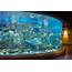 Melbourne Aquarium  Underwater Space Hidden City Secrets