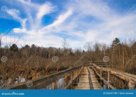 Old Wooden Boardwalk Crossing Swamp Under A Partly Cloudy Blue Sky