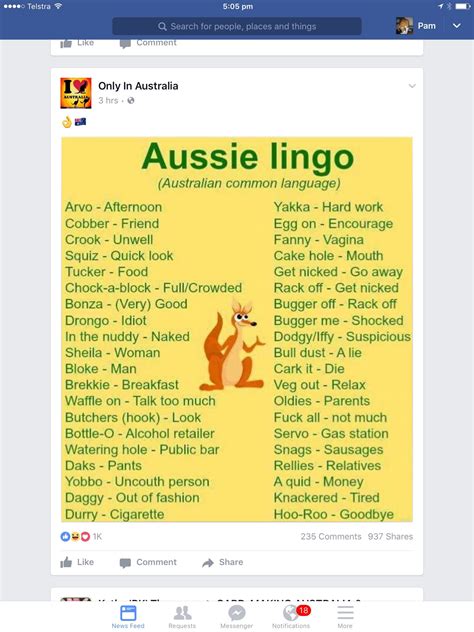 pin by pam greenlees on diy projects to try australia funny australia slang aussie