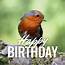 Happy Birthday Wish Image And Bird