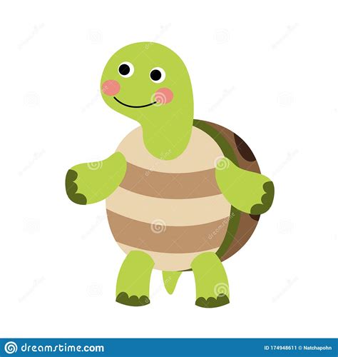 Turtle Standing On Two Legs Animal Cartoon Character Vector