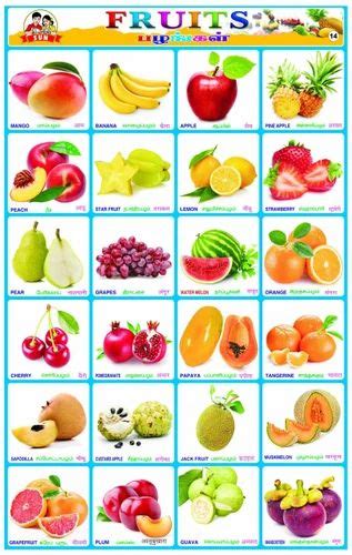 Educational Sticker Charts Fruits Sticker Charts Manufacturer From