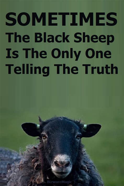Funny Sheep Quotes Shortquotescc