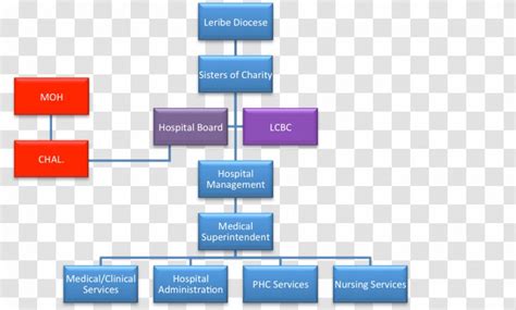 Organizational Structure Hospital Board Of Directors Health