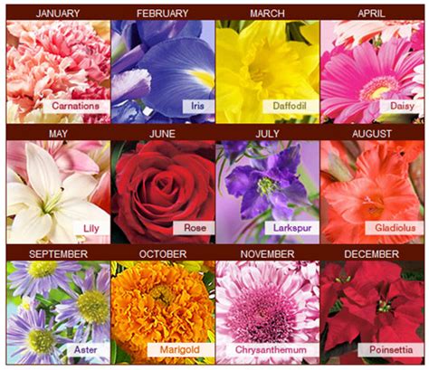 The flower symbolizes joy, but if specifically based on colors, carnation symbolizes more. MERRY BRIDES — Your Birth Month Flower