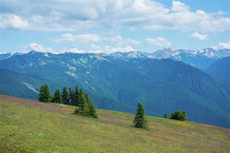 Hurricane Ridge Olympic National Park Photograph By Bruce Gourley Pixels