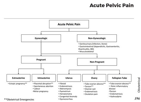 Causes Of Acute Pelvic Pain Differential Diagnosis