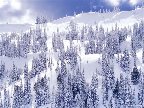 Free Download Winter Wonderland Desktop Backgrounds 1600x1200 For