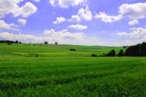 Banco De Imagens Panorama Natureza Horizonte Nuvem Céu Campo