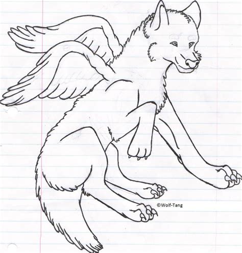 Winged Wolf Lineart By Wolf Tang On Deviantart