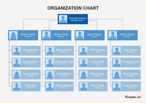 Free Organizational Chart Template Of 40 Organizational Chart Templates