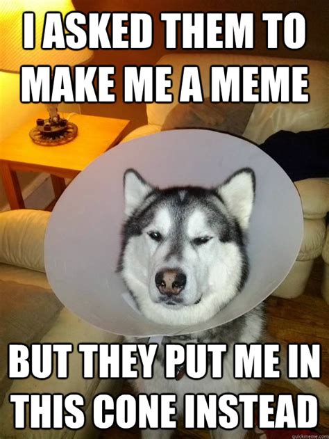 I Asked Them To Make Me A Meme But They Put Me In This Cone Instead