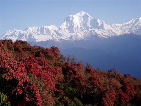 Nepal Himalayas Mountains Hd Wallpapers Desktop And Mobile Images