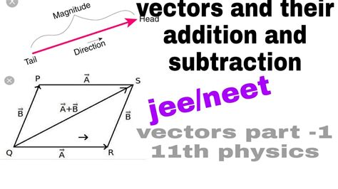 11th Physics Vectors Part 1 Youtube
