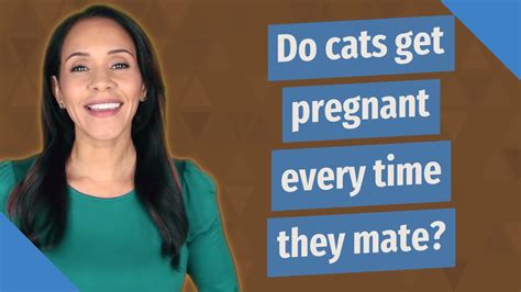 Do Cats Get Pregnant Every Time They Mate Youtube