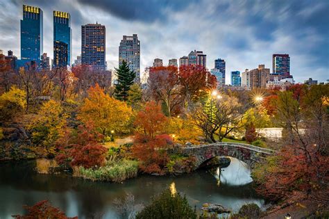 This central park electric bike tour allows you to see more than you would on a walking tour and in less time. Central Park in New York will get its first statue of ...