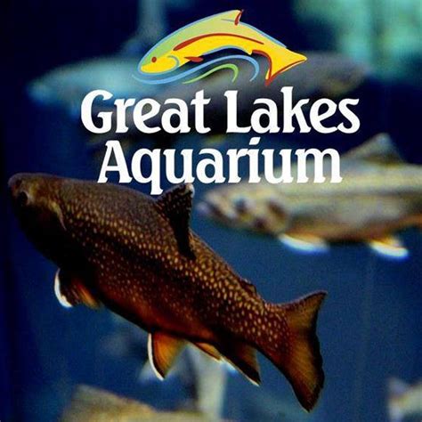 Great Lakes Aquarium Pier B Resort Duluth Minnesota