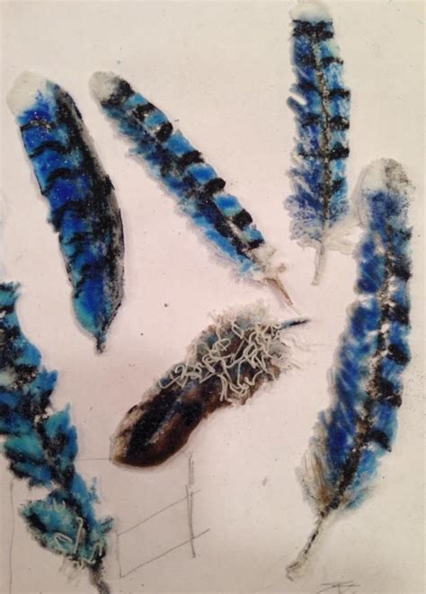 Fused Glass Powder Blue Jay Feathers A Fun Experiment Fused Glass